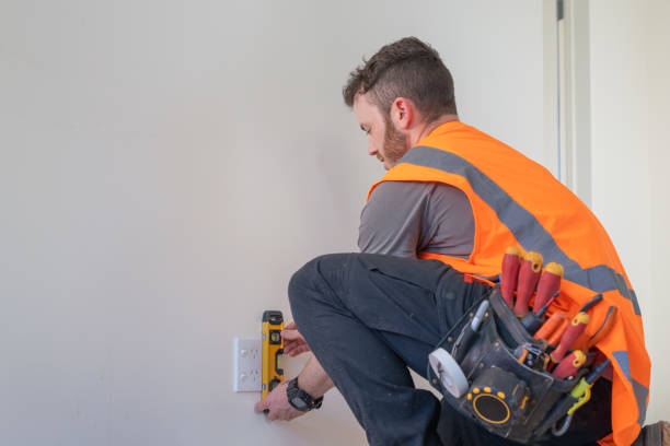 Best Electric Panel Repair  in Butler, MO